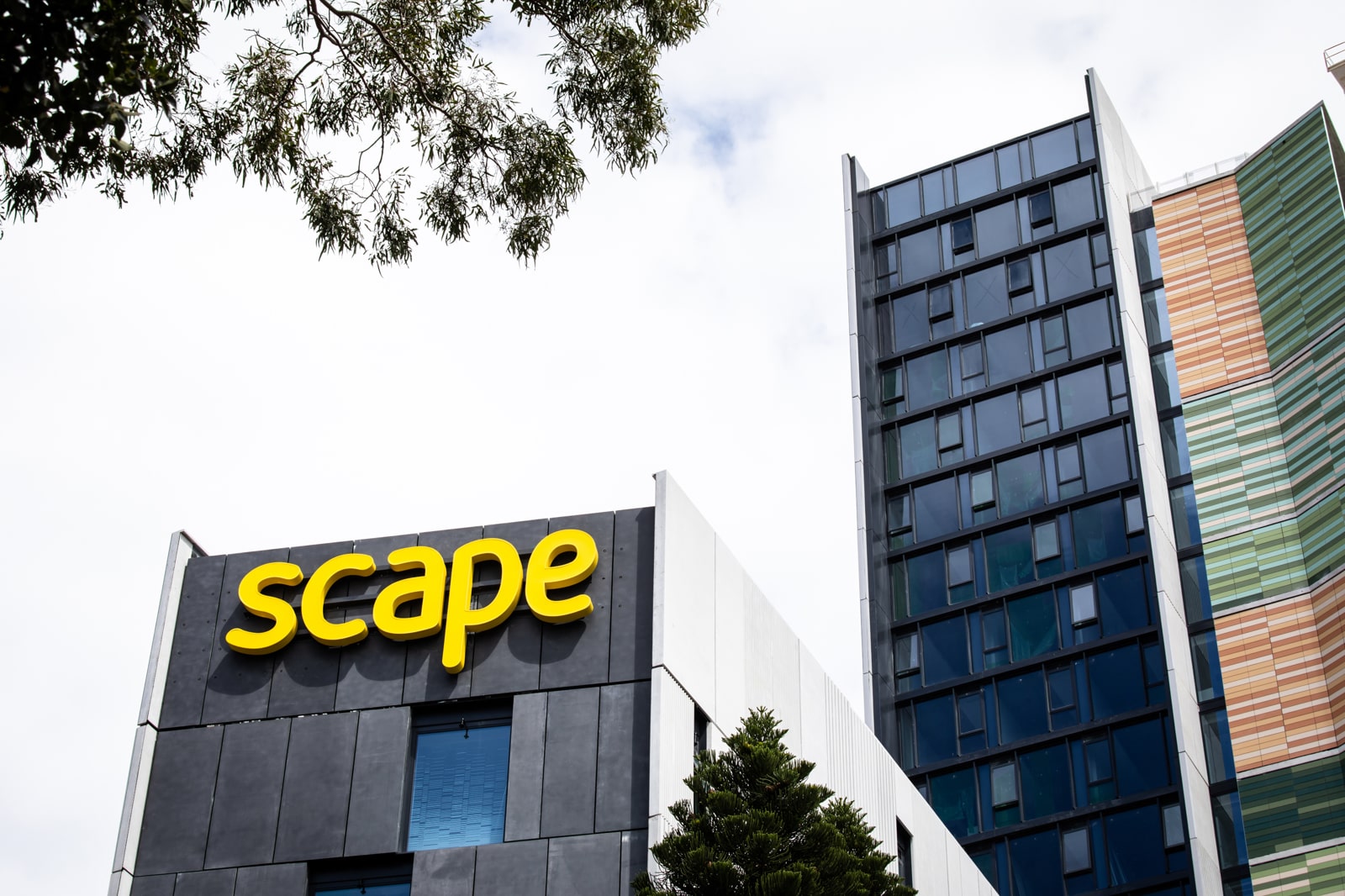 Scape - National Sign Build